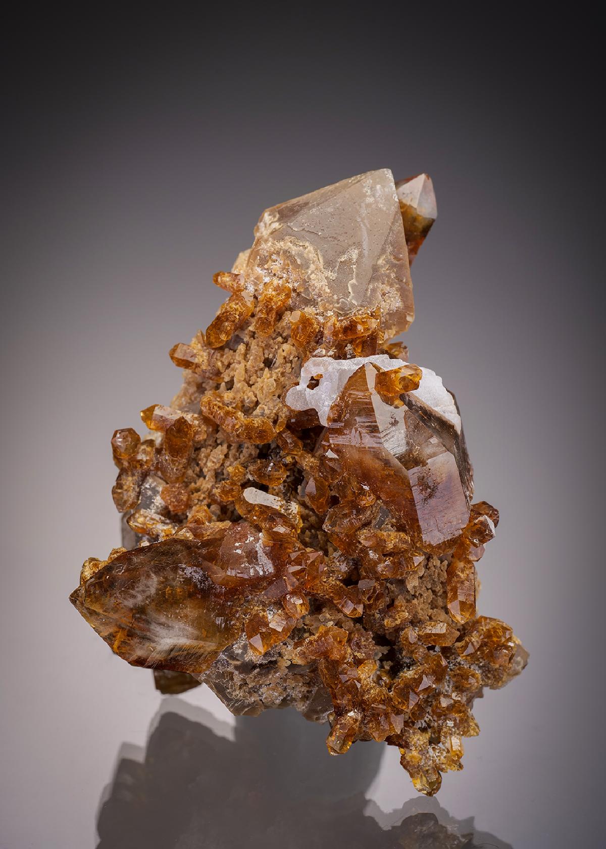 CC7922 specimen image