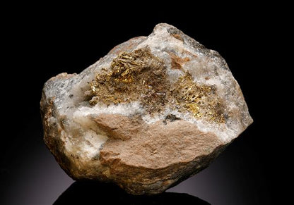 CC7925 specimen image