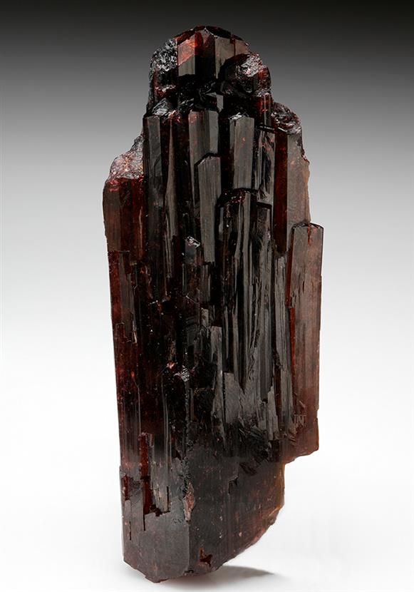 CC7928 specimen image