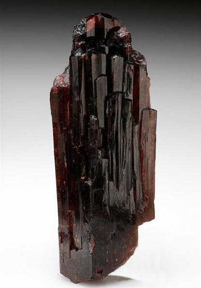 CC7928 specimen image