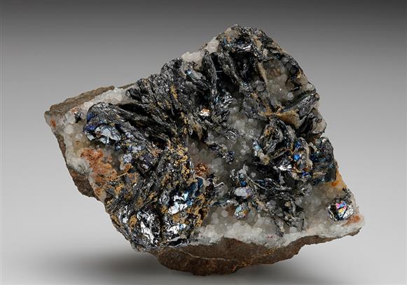 CC7932 specimen image
