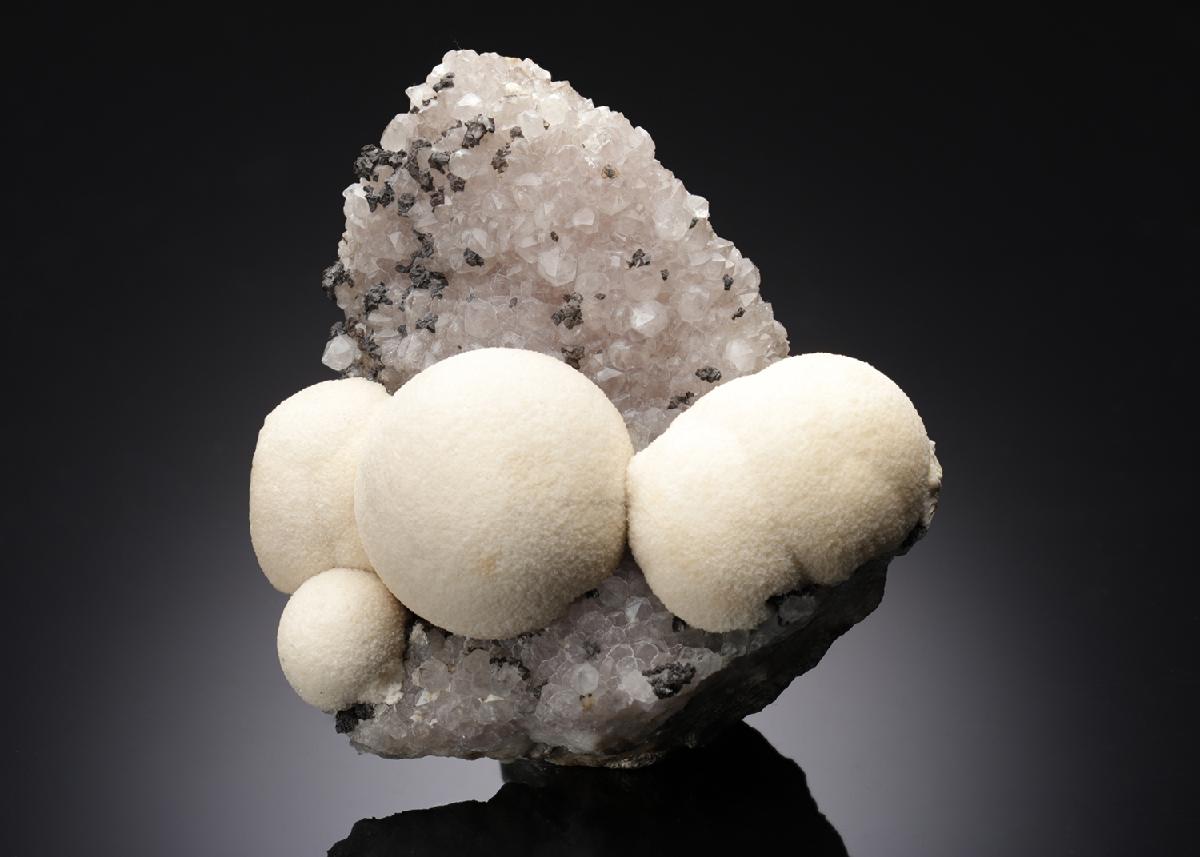 CC7936 specimen image