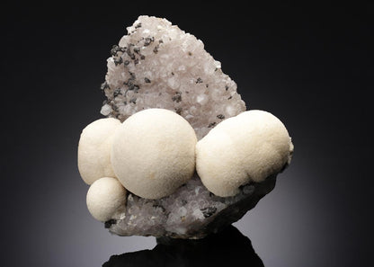 CC7936 specimen image