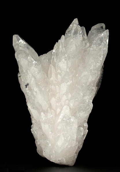 CC7939 specimen image