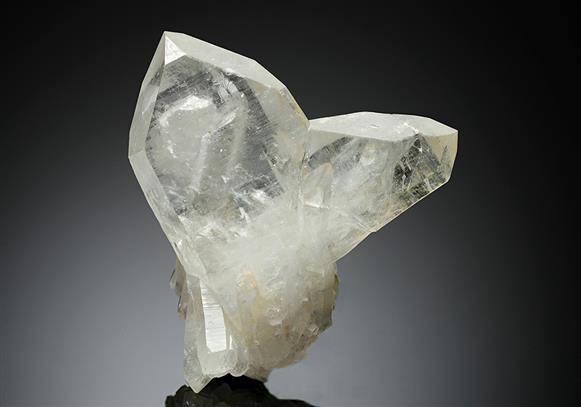 CC8003 specimen image