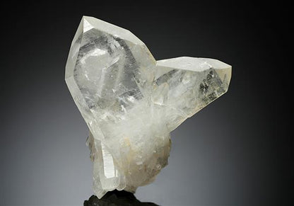CC8003 specimen image