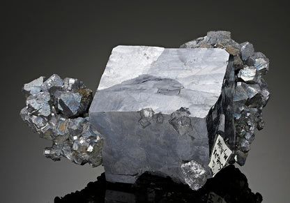 CC8021 specimen image