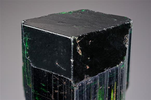 CC8024 specimen image