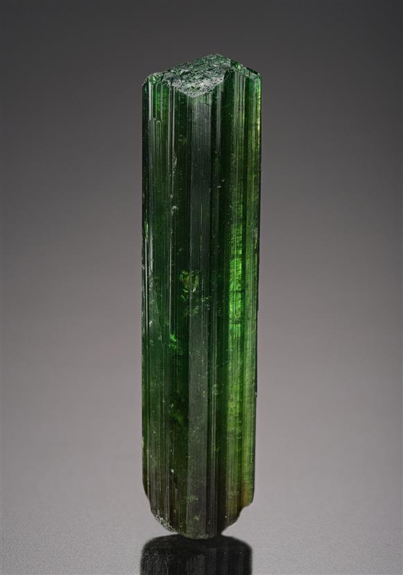 CC8029 specimen image