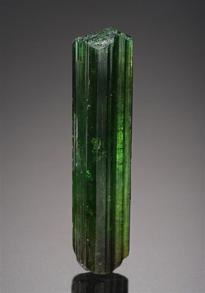 CC8029 specimen image
