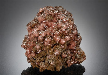 CC8039 specimen image