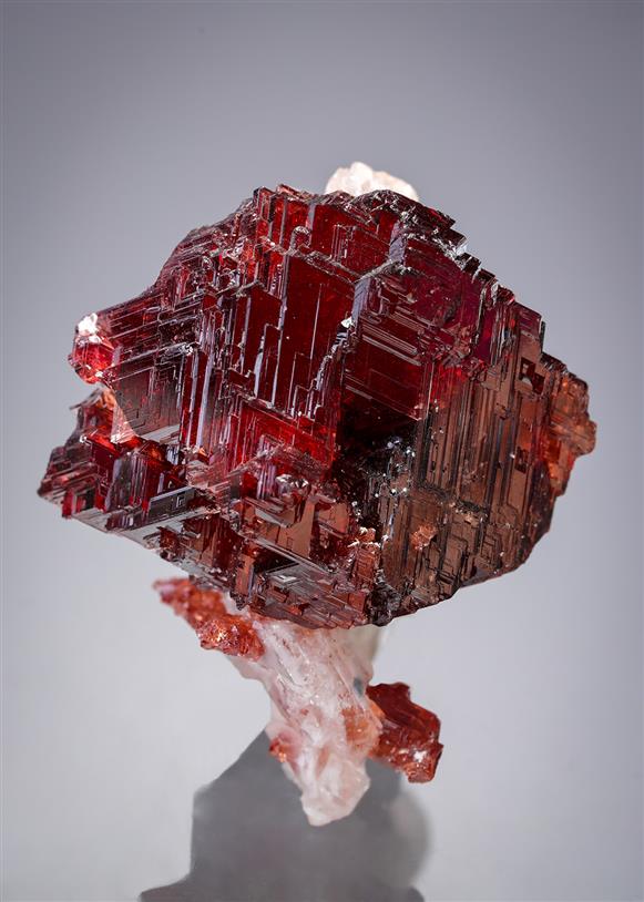 CC8040 specimen image