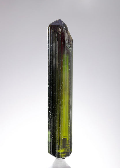 CC8042 specimen image