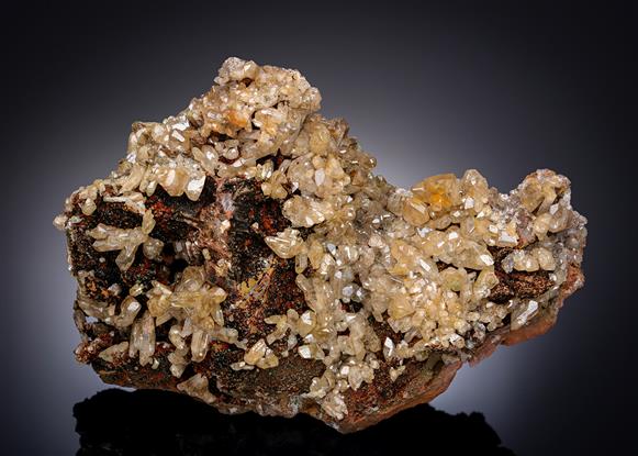 CC8046 specimen image