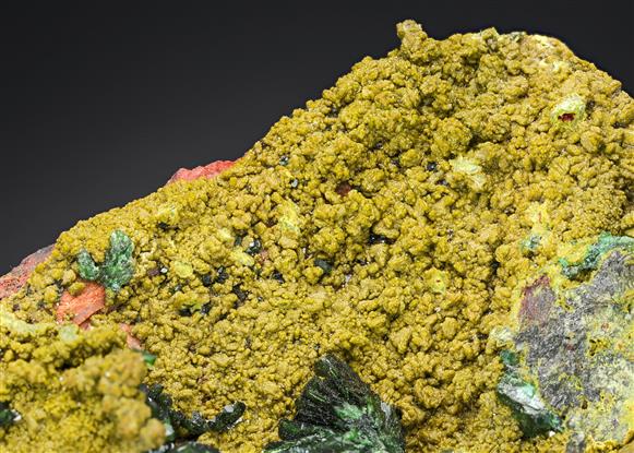 CC8053 specimen image