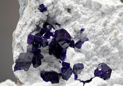 CC8056 specimen image