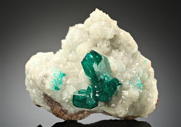 CC8072 specimen image