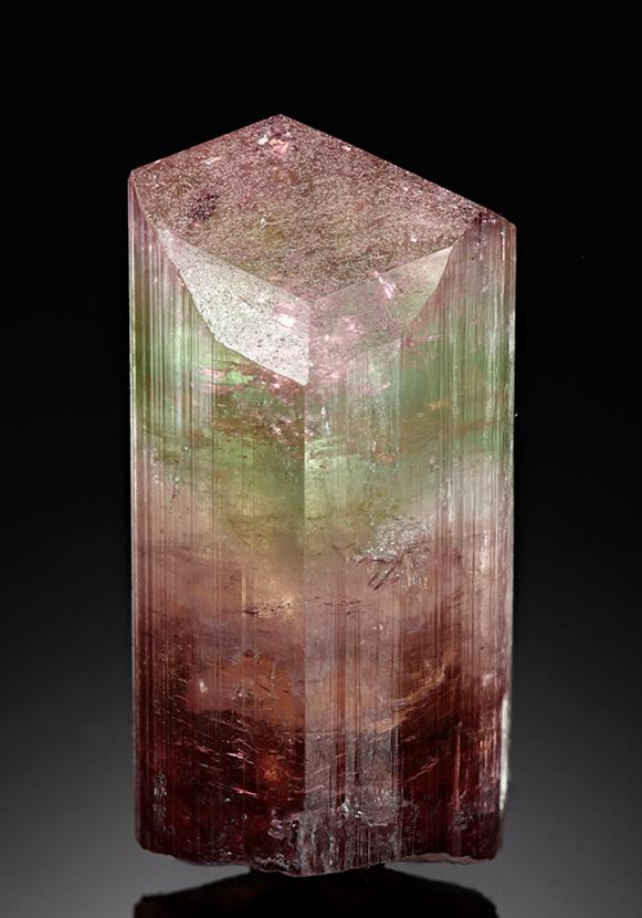 CC8077 specimen image