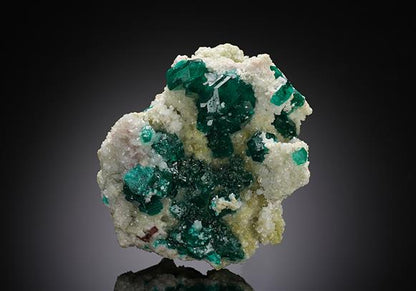 CC8078 specimen image