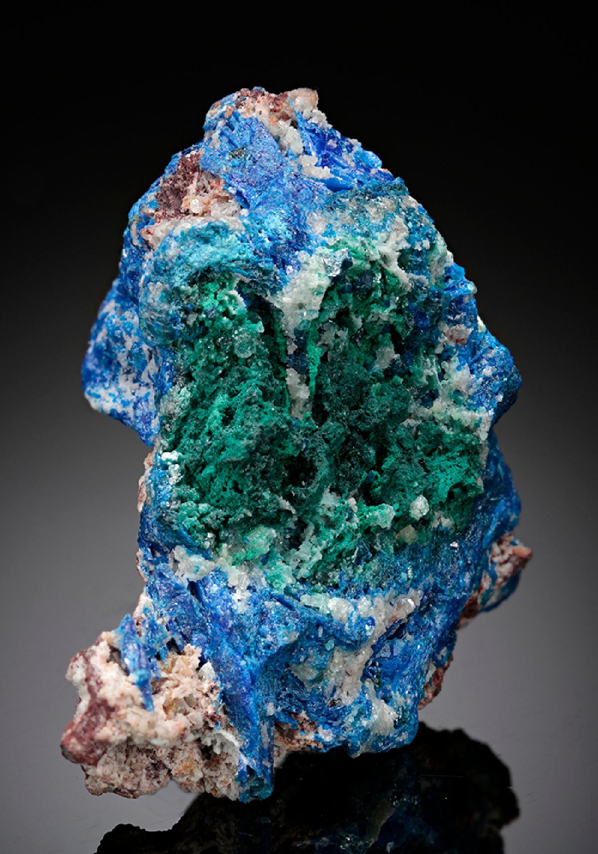 CC8082 specimen image