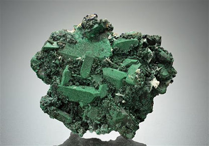 CC8091 specimen image
