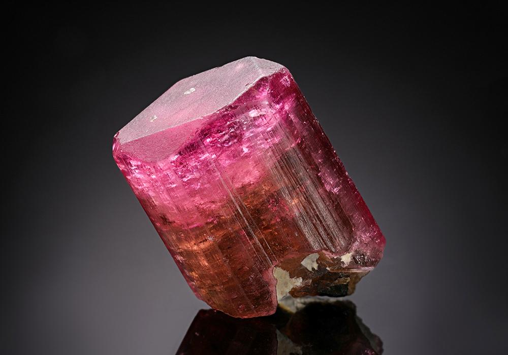 CC8094 specimen image