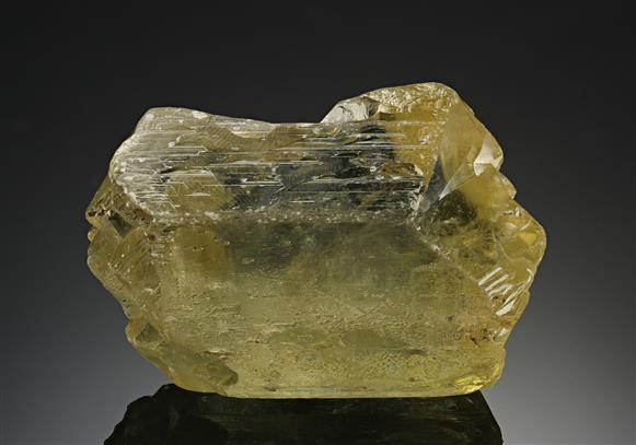 CC8105 specimen image