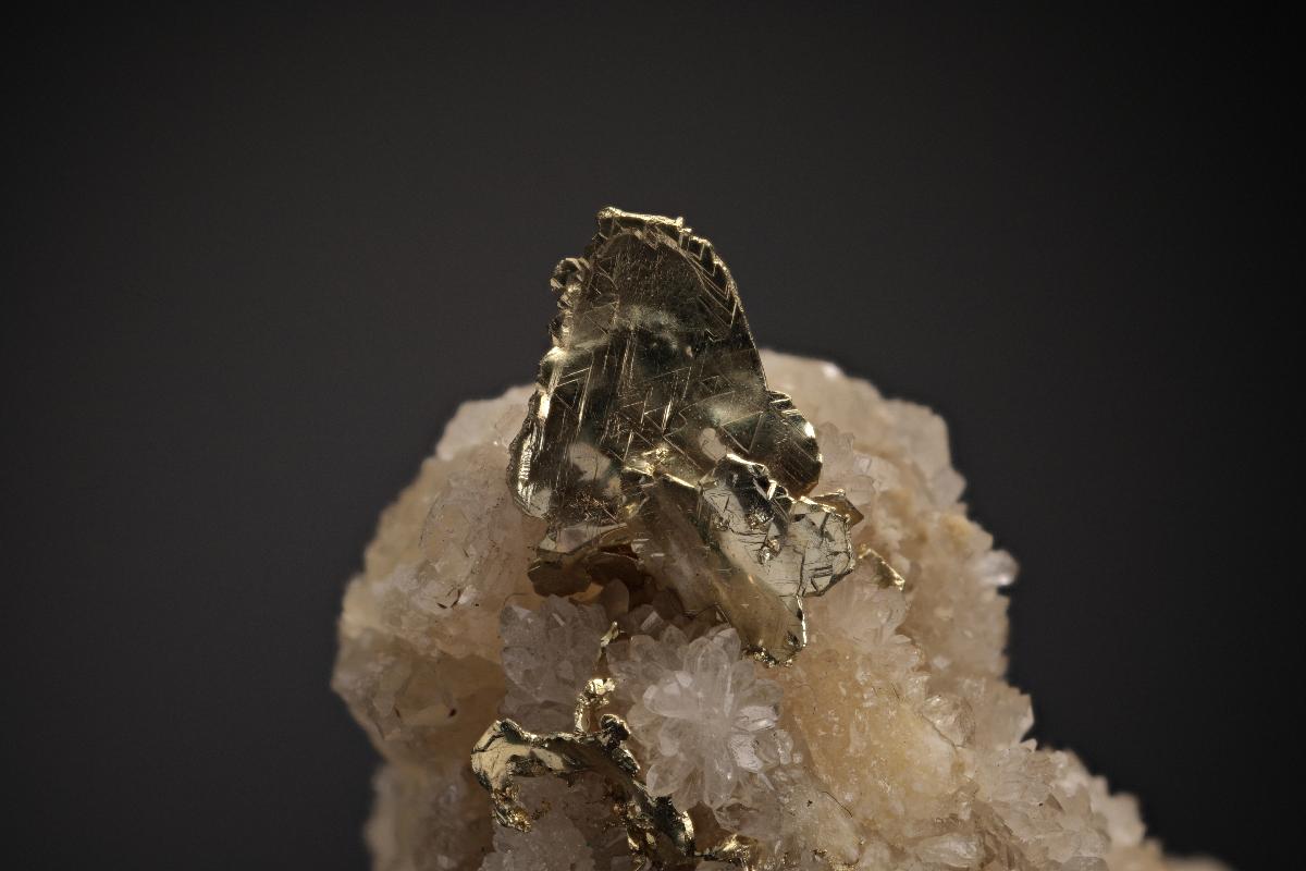 CC8123 specimen image