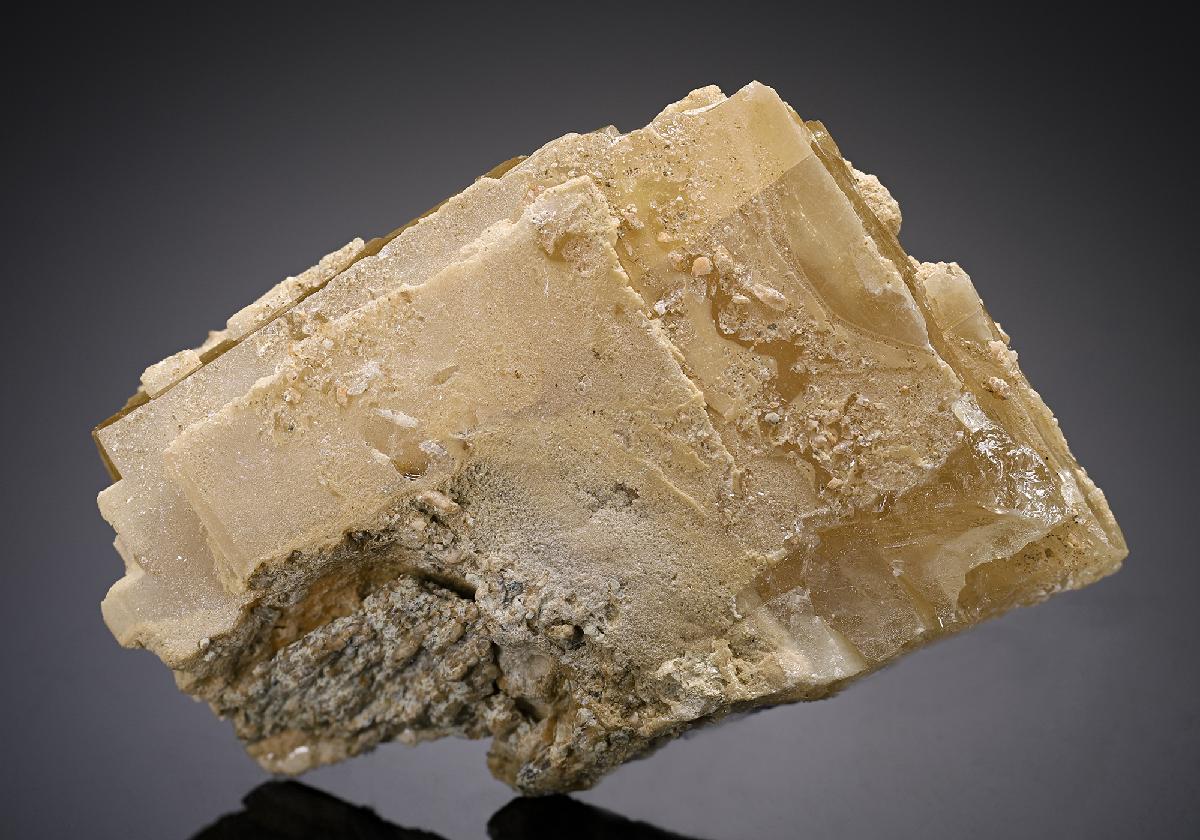 CC8130 specimen image