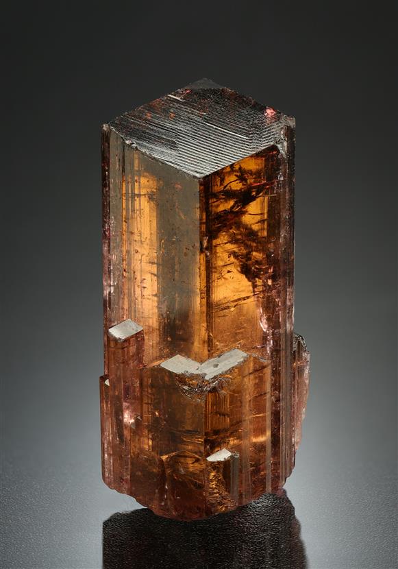CC8137 specimen image