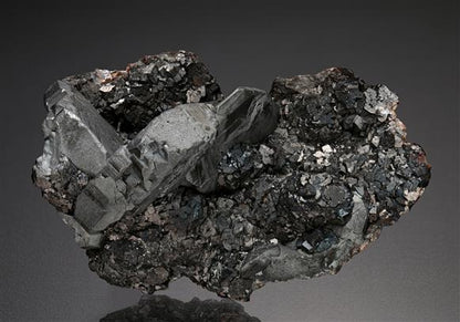 CC8146 specimen image