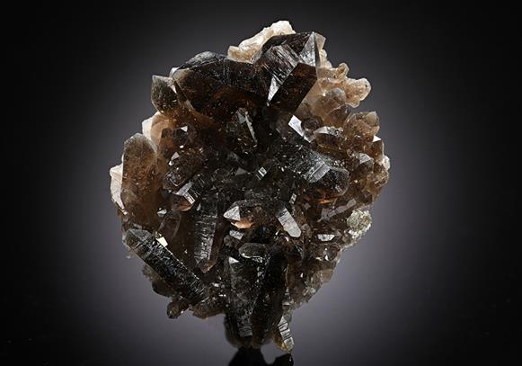 CC8152 specimen image