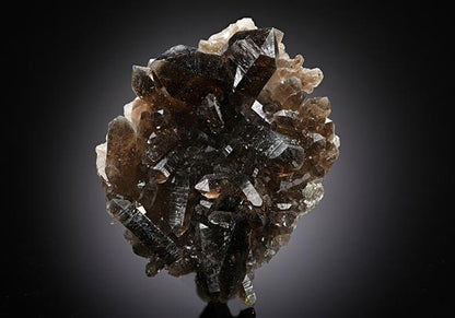 CC8152 specimen image