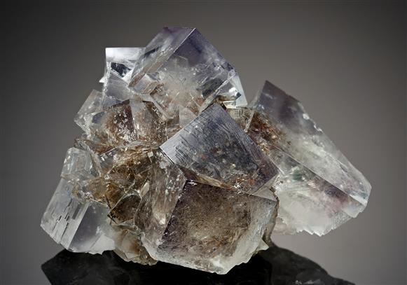 CC8173 specimen image