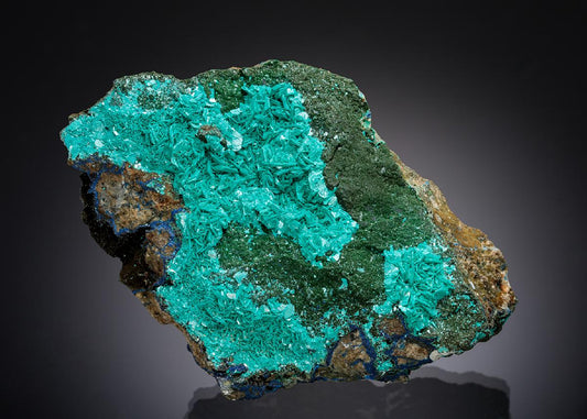 CC8183 specimen image
