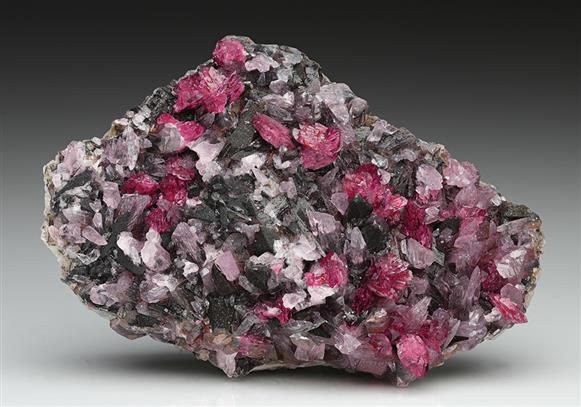 CC8188 specimen image
