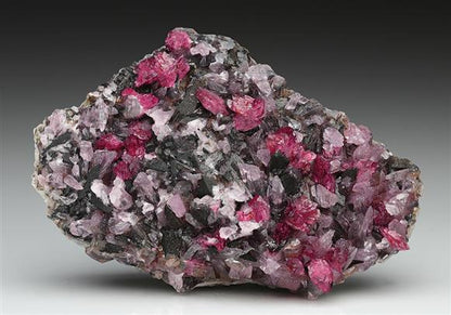CC8188 specimen image