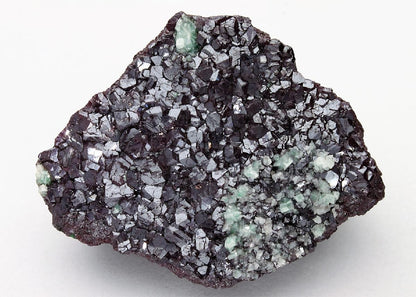 CC8196 specimen image