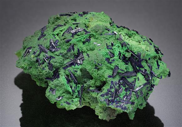 CC8197 specimen image