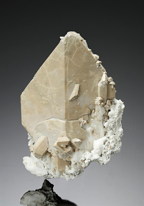 CC8209 specimen image