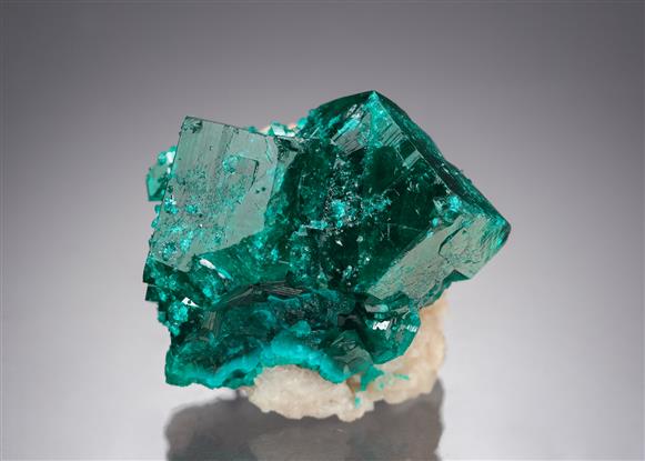 CC8251 specimen image