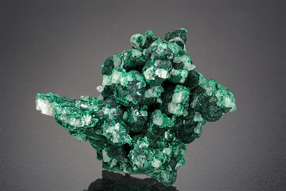 CC8257 specimen image