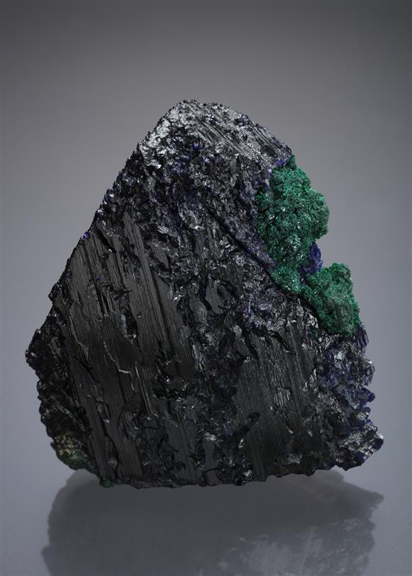 CC8267 specimen image