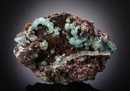 CC8271 specimen image