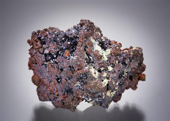 CC8278 specimen image