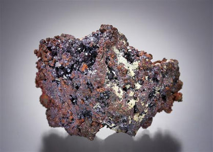 CC8278 specimen image