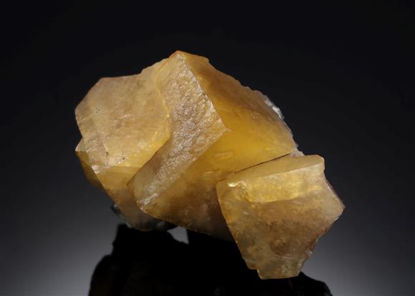 CC8289 specimen image