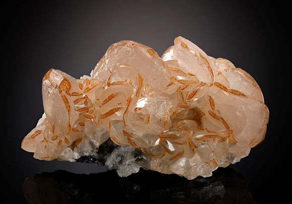 CC8290 specimen image
