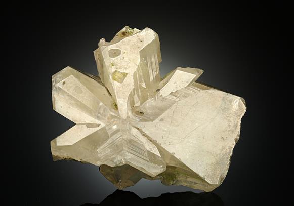 CC8293 specimen image