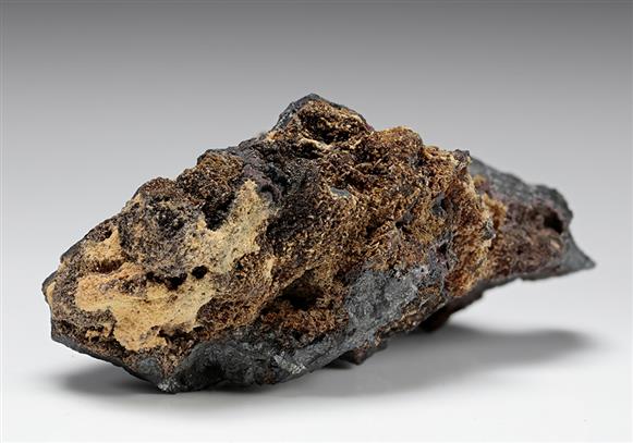 CC8294 specimen image